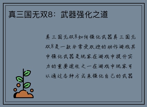 真三国无双8：武器强化之道
